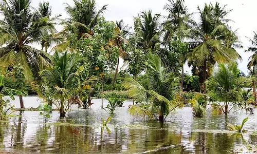 मेट्टूर बांध से अतिरिक्त पानी छोड़ा गया: तटीय भूमि और घरों में पानी घुस गया
