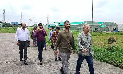 MP : मुरैना में किसानों को हाइब्रिड फसलें उगाने का प्रशिक्षण दिया जाएगा MP : मुरैना में किसानों को हाइब्रिड फसलें उगाने का प्रशिक्षण दिया जाएगा