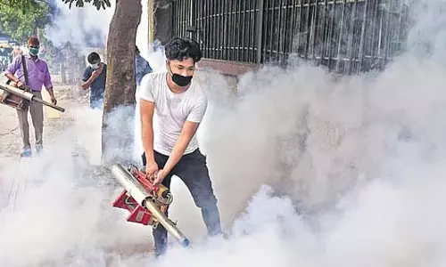 पीडब्ल्यूडी और एमसीडी ने 6 लाख करोड़ घरों की फॉगिंग पर रोक लगाई पीडब्ल्यूडी और एमसीडी ने 6 लाख करोड़ घरों की फॉगिंग पर रोक लगाई