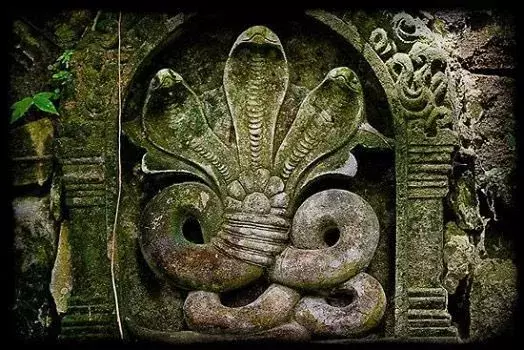 Auraiya का नाग मंदिर बना रहस्य और आस्था का केंद्र Auraiya का नाग मंदिर बना रहस्य और आस्था का केंद्र