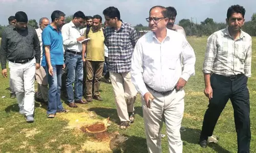 शोपियां में शहतूत की अवैध कटाई पर रेशम निदेशालय ने 2 अधिकारी निलंबित किए