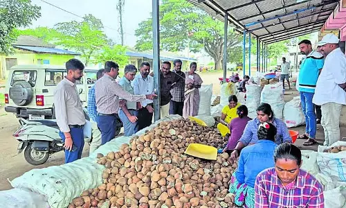 Tiptur : नारियल मूल्य नीति तैयार करने के लिए कदम उठाए गए