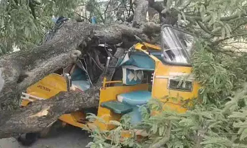 Siddipet में चलती गाड़ियों पर इमली का पेड़ गिरा, दो लोग मामूली रूप से घायल Siddipet में चलती गाड़ियों पर इमली का पेड़ गिरा, दो लोग मामूली रूप से घायल