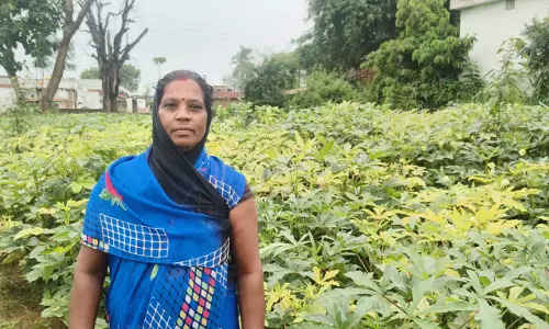 आधुनिक खेती और मेहनत से केतकी बाई बनी लखपति दीदी आधुनिक खेती और मेहनत से केतकी बाई बनी लखपति दीदी