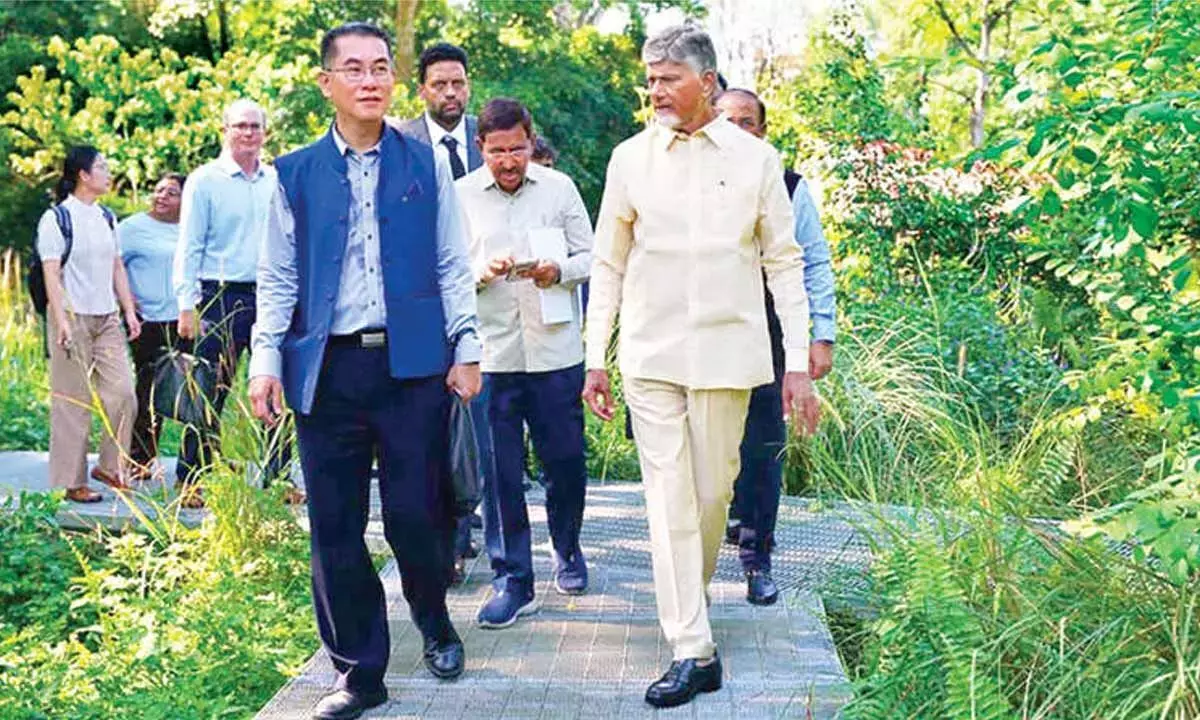 Andhra: मुख्यमंत्री ने आवास के क्षेत्र में सिंगापुर से जानकारी मांगी