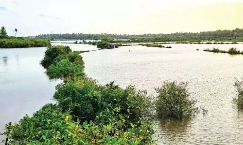 पर्यटन विकास परियोजना; माला चाल को शामिल करने की घोषणा ऐतिहासिक पर्यटन विकास परियोजना; माला चाल को शामिल करने की घोषणा ऐतिहासिक