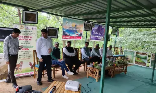 Indore : संरक्षण प्रयासों और वृक्षारोपण अभियान के साथ विश्व बाघ दिवस 2025 मनाया जाएगा