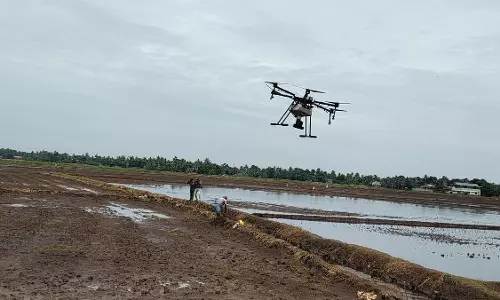 एर्नाकुलम के पट्टनक्कड़ में ड्रोन से 110 एकड़ खेतों में धान के बीज बोए गए