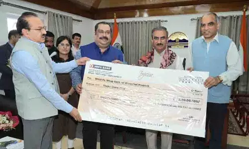 Himachal: बड़ी बिल्लियाँ, बड़ा प्रभाव, त्साराप चू रिजर्व को 3 करोड़ रुपये का वित्त पोषण मिला