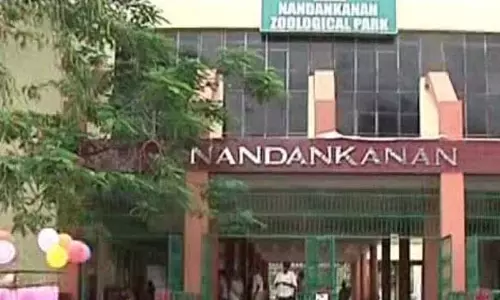 खोरधा में बर्ड फ्लू का खतरा, नंदनकानन चिड़ियाघर हाई अलर्ट पर