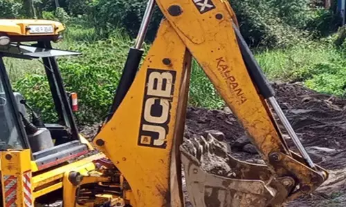 JCB से मिट्टी साफ करते समय पेड़ गिरा, बड़ा हादसा टला JCB से मिट्टी साफ करते समय पेड़ गिरा, बड़ा हादसा टला