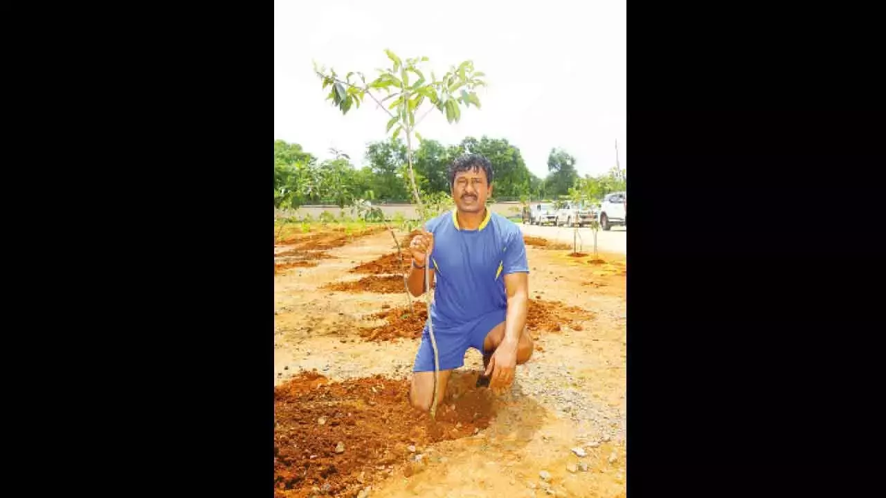 Telangana: सिंगरेनी बॉस ने फलदार वृक्षों के 204 पौधे लगाए