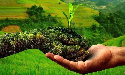 Shahjahanpur: प्राकृतिक खेती से होगा भूमि व स्वास्थ्य संरक्षण Shahjahanpur: प्राकृतिक खेती से होगा भूमि व स्वास्थ्य संरक्षण