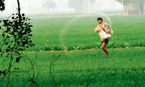 Amritsar: इफको ने नैनो तरल उर्वरकों के उपयोग पर कार्यशाला आयोजित की Amritsar: इफको ने नैनो तरल उर्वरकों के उपयोग पर कार्यशाला आयोजित की