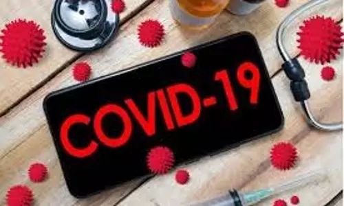 महाराष्ट्र में COVID-19 6 नए मामले, नासिक में सह-रुग्णता से 1 मौत महाराष्ट्र में COVID-19 6 नए मामले, नासिक में सह-रुग्णता से 1 मौत