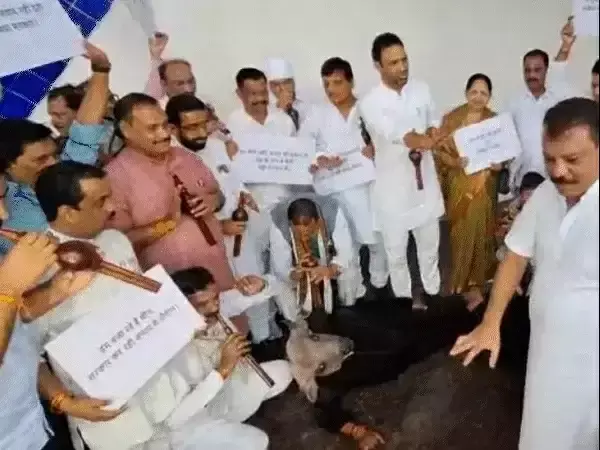 Bhopal: भैंस की वेशभूषा में विधायक का प्रदर्शन Bhopal: भैंस की वेशभूषा में विधायक का प्रदर्शन