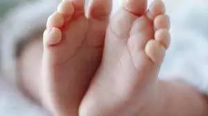 Mp News: परिवार की लापरवाही से दो मासूम बच्चों की मौत Mp News: परिवार की लापरवाही से दो मासूम बच्चों की मौत