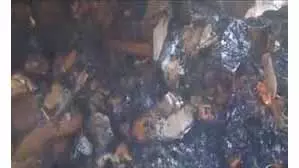 Jammu-Kashmir: रेस्टोरेंट में लगी आग, सारा सामान जलकर राख Jammu-Kashmir: रेस्टोरेंट में लगी आग, सारा सामान जलकर राख