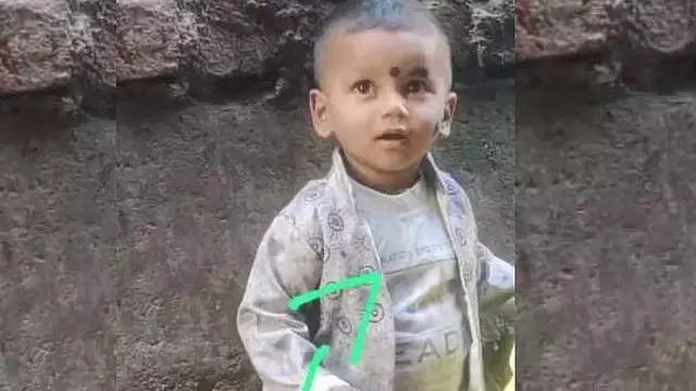 सड़क किनारे खेलते समय एक भयानक हादसा हुआ: 3 वर्षीय बच्ची की कचरा ट्रक से कुचलकर मौत हो गई सड़क किनारे खेलते समय एक भयानक हादसा हुआ: 3 वर्षीय बच्ची की कचरा ट्रक से कुचलकर मौत हो गई