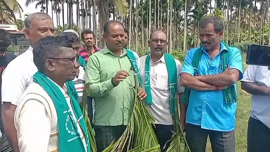 अधिकारियों की लापरवाही: किसानों पर अत्याचार का आरोप अधिकारियों की लापरवाही: किसानों पर अत्याचार का आरोप