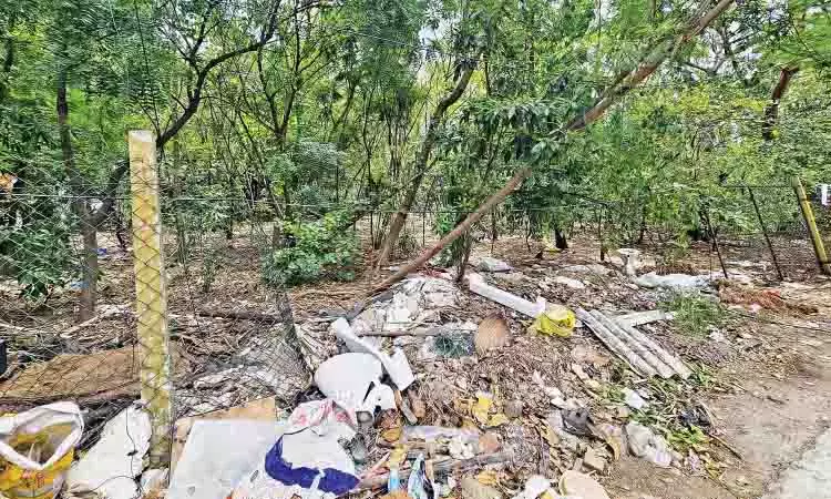 Kotturpuram मियावाकी कूड़ाघर बना हुआ Kotturpuram मियावाकी कूड़ाघर बना हुआ