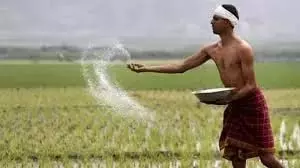 Telangana: भाजपा ने उर्वरक संकट के लिए कांग्रेस को ज़िम्मेदार ठहराया Telangana: भाजपा ने उर्वरक संकट के लिए कांग्रेस को ज़िम्मेदार ठहराया