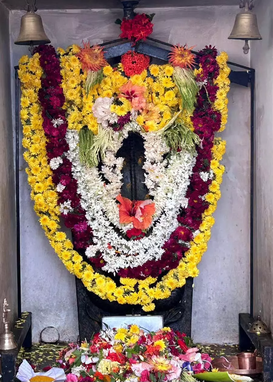 Karnataka : पत्थर की सर्प मूर्तियों की पूजा Karnataka : पत्थर की सर्प मूर्तियों की पूजा