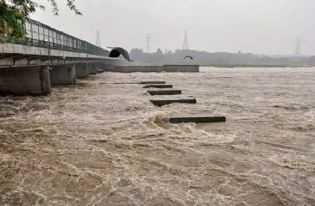 Auraiya: बढ़ते जलस्तर से यमुना में बाढ़ की आशंका, सतर्क हुआ अमला Auraiya: बढ़ते जलस्तर से यमुना में बाढ़ की आशंका, सतर्क हुआ अमला
