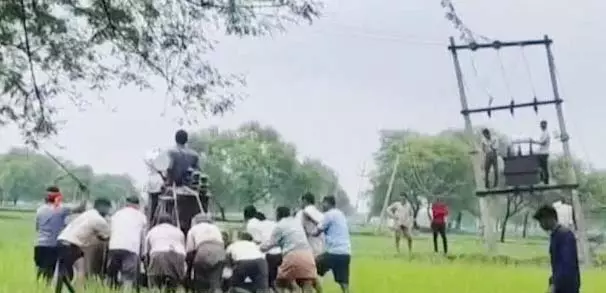 ट्रांसफार्मर लगाने बिजली कार्मियों ने भैंस गाड़ी का लिया सहारा, वीडियो वायरल ट्रांसफार्मर लगाने बिजली कार्मियों ने भैंस गाड़ी का लिया सहारा, वीडियो वायरल