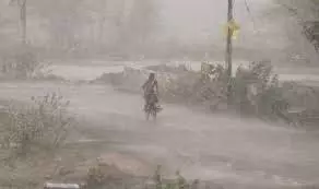 Kerala : वलियाथोवाला रोड स्टालों के नवीनीकरण के रूप में विरोध बढ़ता जा रहा Kerala : वलियाथोवाला रोड स्टालों के नवीनीकरण के रूप में विरोध बढ़ता जा रहा