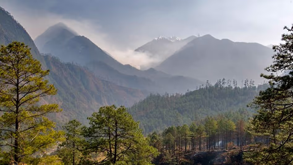 Arunachal के अंजॉ और पक्के केसांग राष्ट्रीय पीएमएमवीवाई नामांकन रैंकिंग में शीर्ष पर Arunachal के अंजॉ और पक्के केसांग राष्ट्रीय पीएमएमवीवाई नामांकन रैंकिंग में शीर्ष पर