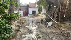 Auraiya: गांव की टूटी सड़कें बनीं गंदे पानी का घर, लोगों में रोष Auraiya: गांव की टूटी सड़कें बनीं गंदे पानी का घर, लोगों में रोष