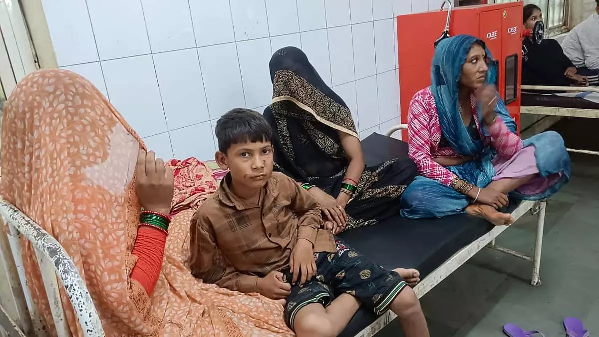 MP : सियार का बच्चा घसीटने का भयंकर मामला, बचाव में लोग घायल MP : सियार का बच्चा घसीटने का भयंकर मामला, बचाव में लोग घायल