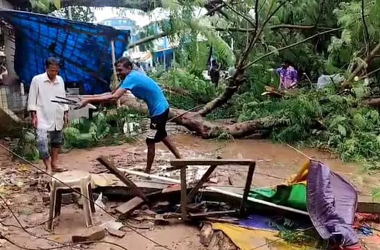 लगातार बारिश से स्वरूपनगर में कई पेड़ उखड़ गए, यातायात बाधित लगातार बारिश से स्वरूपनगर में कई पेड़ उखड़ गए, यातायात बाधित