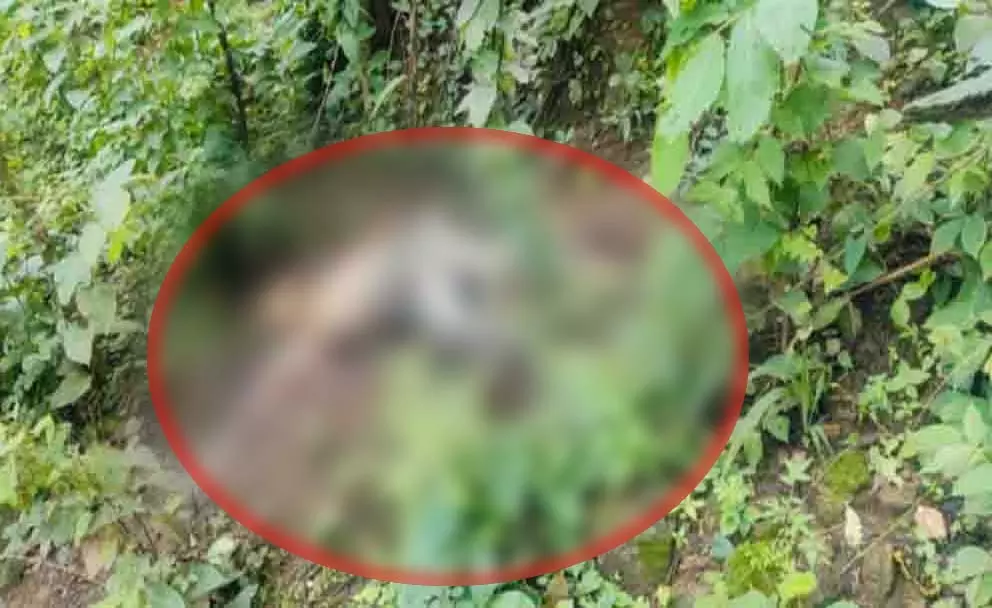 लापता पूर्व विधायक के भाई की जंगल में मिली सड़ी-गली लाश, हत्या की आशंका लापता पूर्व विधायक के भाई की जंगल में मिली सड़ी-गली लाश, हत्या की आशंका