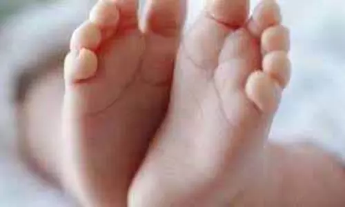 Mp News: परिवार की लापरवाही से दो मासूम बच्चों की मौत Mp News: परिवार की लापरवाही से दो मासूम बच्चों की मौत
