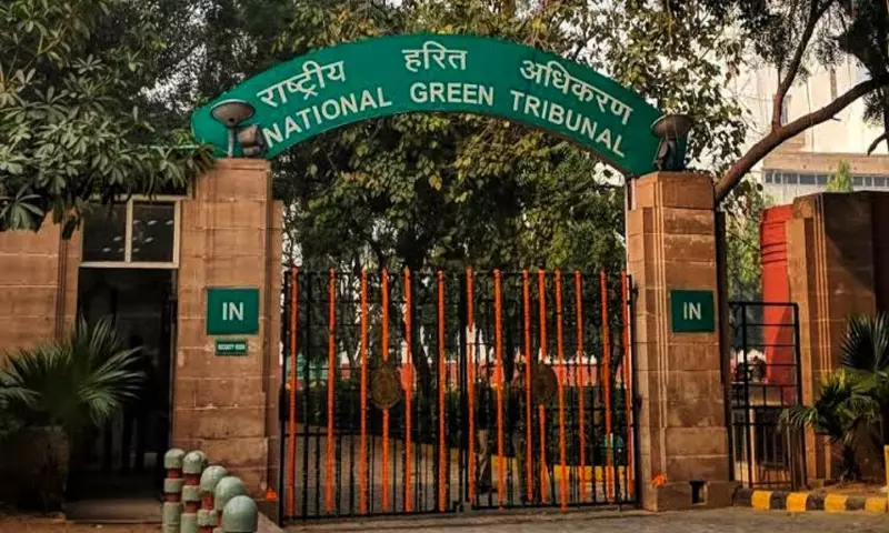 Meghalaya में अवैध बोल्डर खनन का भंडाफोड़, टास्क फोर्स की कार्रवाई तेज