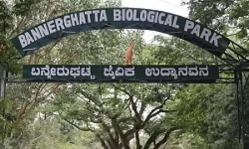 बन्नेरघट्टा पार्क: 1 अगस्त से प्रवेश शुल्क बढ़ेगा बन्नेरघट्टा पार्क: 1 अगस्त से प्रवेश शुल्क बढ़ेगा