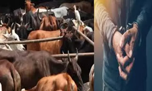 Prayagraj: लंबे समय से फरार इनामी गौतस्कर गिरफ्तार Prayagraj: लंबे समय से फरार इनामी गौतस्कर गिरफ्तार