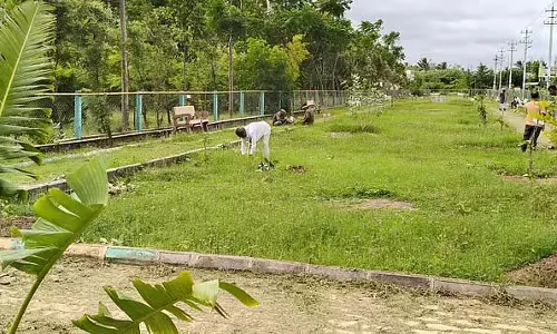 Hagaribommanahalli : एक ही स्थान पर फल और फूल के पौधों की शाता किस्में