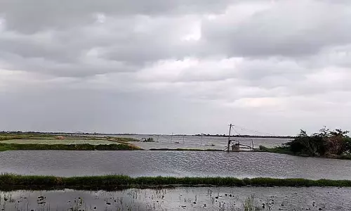 Raichur : तुंगभद्रा नदी बेसिन के किनारे के गांवों में बाढ़ का खतरा