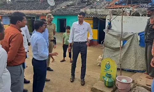 ग्राम पंचायत CEO ने ग्राम पंचायतों का दौरा किया