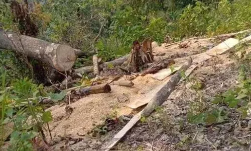 प्राकृतिक संसाधनों की सुरक्षा और सतत विकास पर न्यायालय का जोर प्राकृतिक संसाधनों की सुरक्षा और सतत विकास पर न्यायालय का जोर