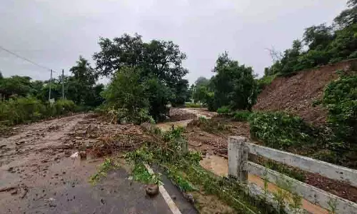 Palampur क्षेत्र में लगातार बारिश से जनजीवन अस्त-व्यस्त