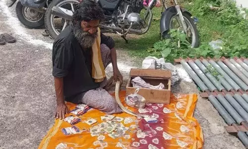 नागा पंचमी: Karimnagar में 2 सपेरों को पकड़ा गया, 2 कोबरा को बचाया गया