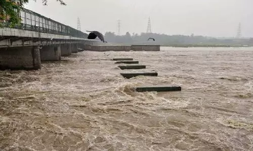 Auraiya: बढ़ते जलस्तर से यमुना में बाढ़ की आशंका, सतर्क हुआ अमला Auraiya: बढ़ते जलस्तर से यमुना में बाढ़ की आशंका, सतर्क हुआ अमला