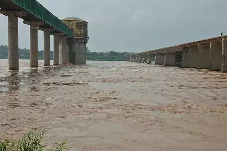 Dholpur: धौलपुर जिले में बाढ़ का खतरा, चंबल नदी उफान पर Dholpur: धौलपुर जिले में बाढ़ का खतरा, चंबल नदी उफान पर
