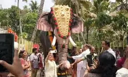 हाथियों के झुंड ने श्रीवारी मेट्टु के पास Tirumala तीर्थयात्रियों को रोक दिया