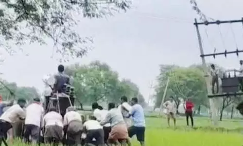 ट्रांसफार्मर लगाने बिजली कार्मियों ने भैंस गाड़ी का लिया सहारा, वीडियो वायरल ट्रांसफार्मर लगाने बिजली कार्मियों ने भैंस गाड़ी का लिया सहारा, वीडियो वायरल