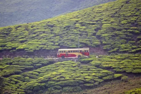 Kerala : मुंडक्कई-चूरलमाला भूस्खलन एक साल बाद, सुबह की बस एक खोए हुए